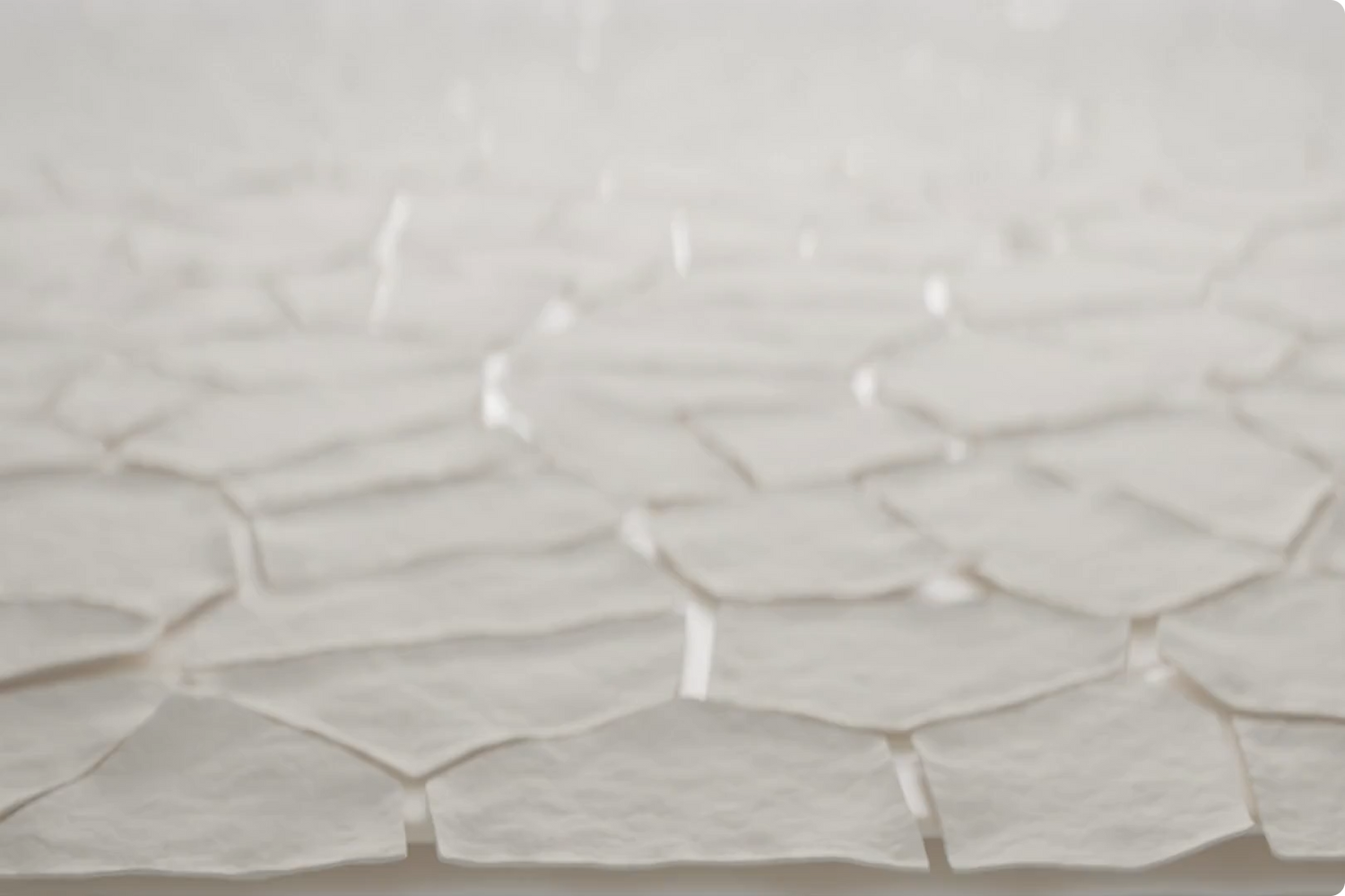 A video depicting the layers of the skin.