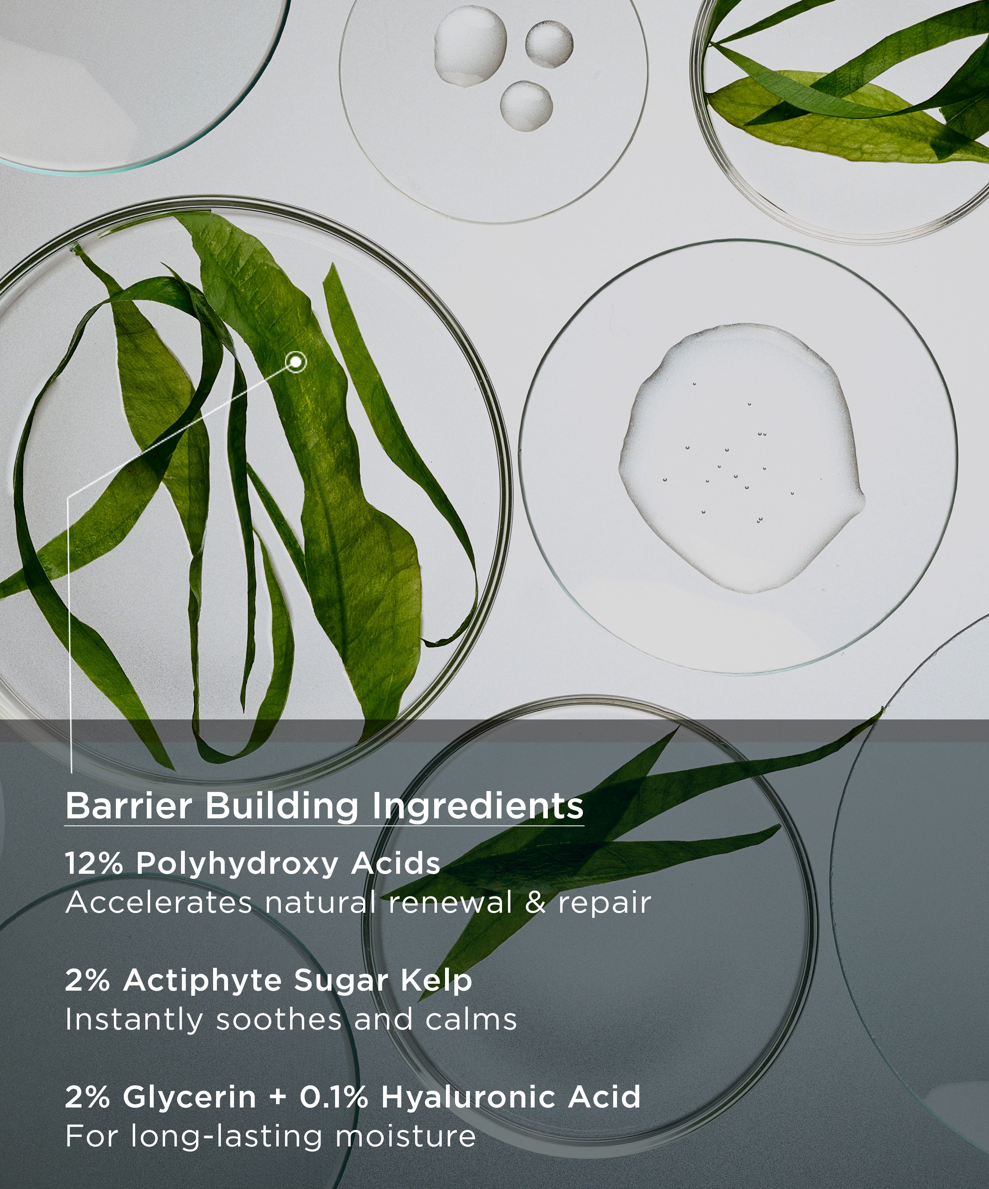 PHA Barrier Recovery Cream