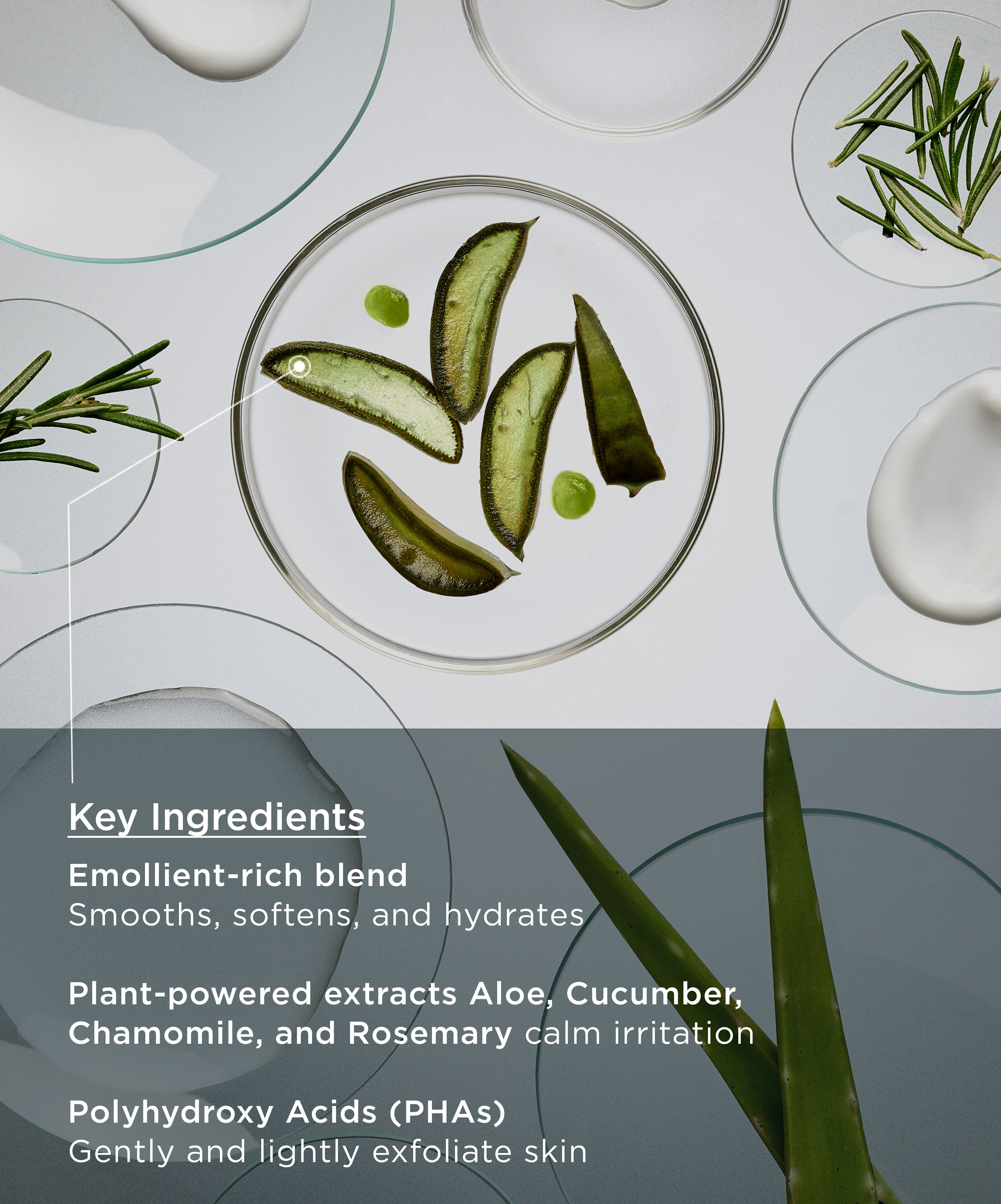 PHA Cream Cleanser