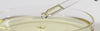 A video of a dropper featuring a golden liquid being dropped into a petri dish.